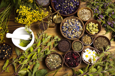 Ayurvedic Herbs and Spices
