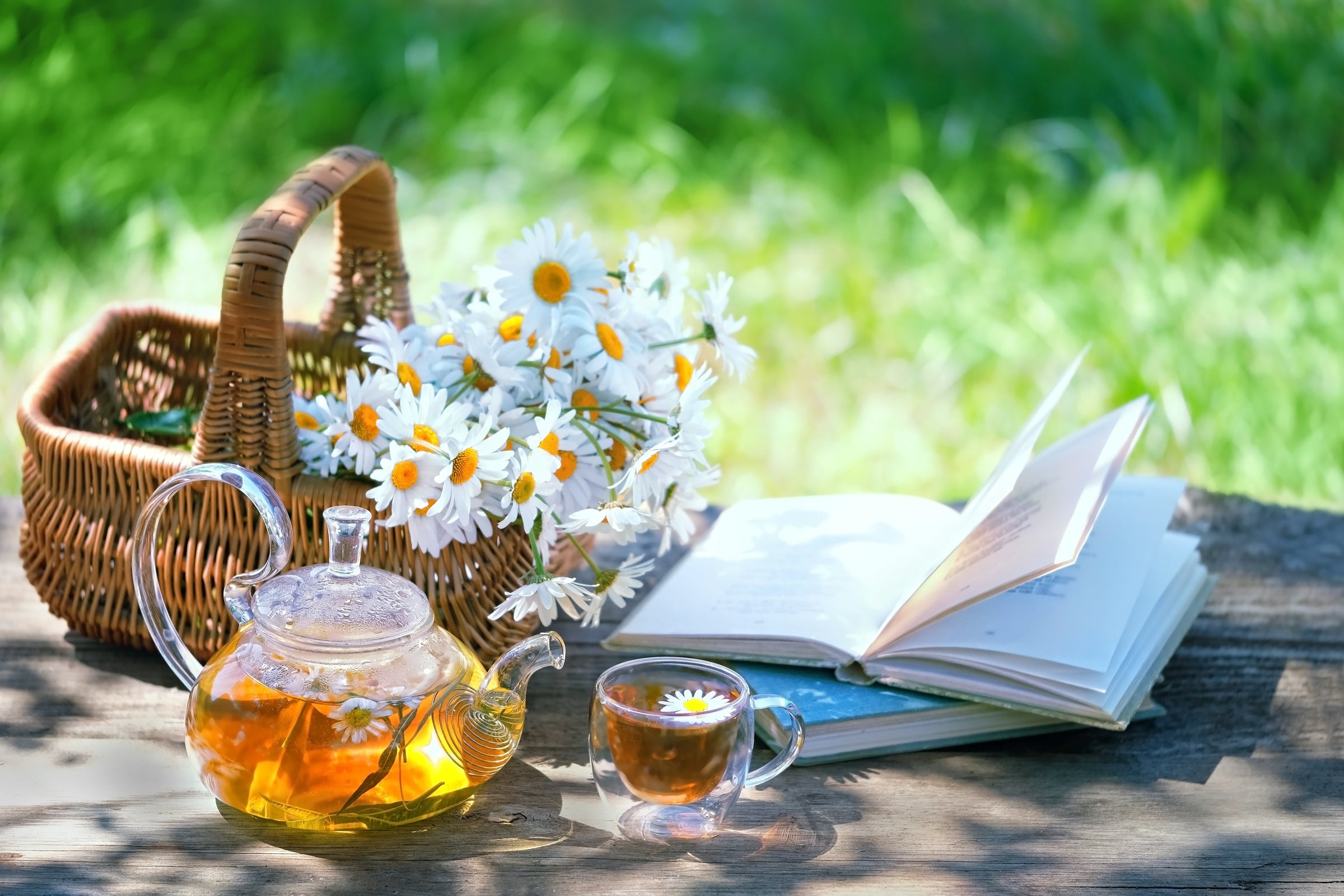 Spring Season Teas and Herbal Tisanes